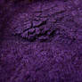 Violet Powder Texture