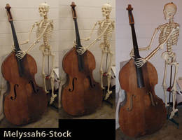 Skeleton and Cello Stock II