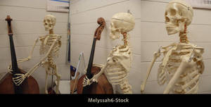 Skeleton and Cello Stock III
