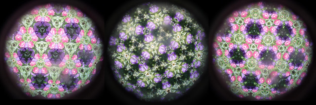 Flower Kaleidoscope Stock 3