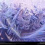 Ice Texture 17