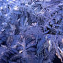 Ice Texture 16