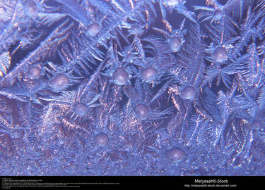 Ice Texture 19