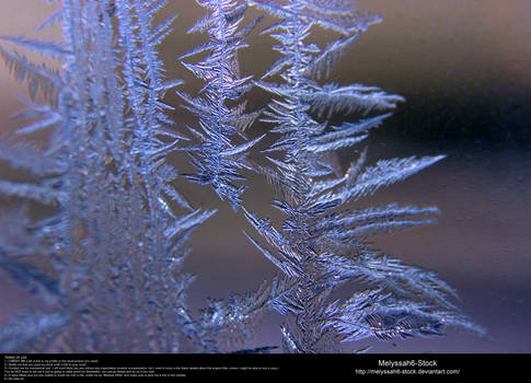Ice Texture 25