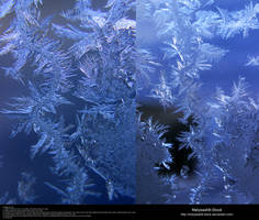 Ice Texture 24