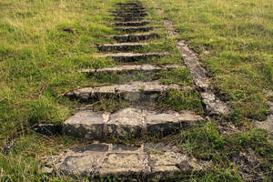 Old mossy stairs in a grass