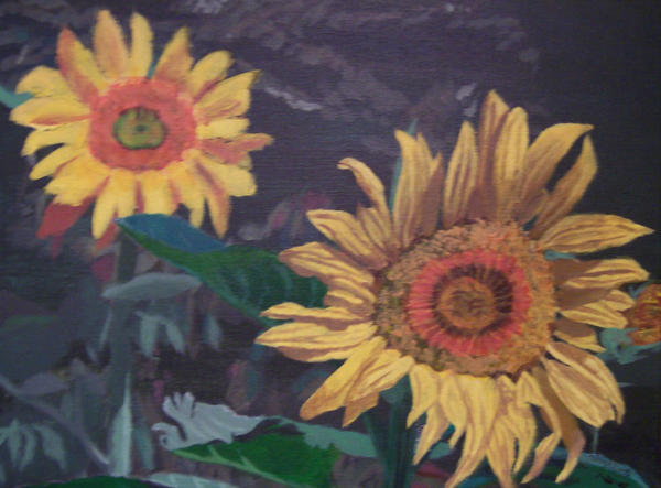 Sunflowers