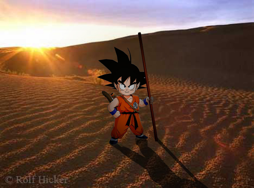 Son Goku Real Desert