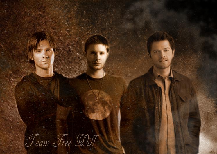 Team Free Will