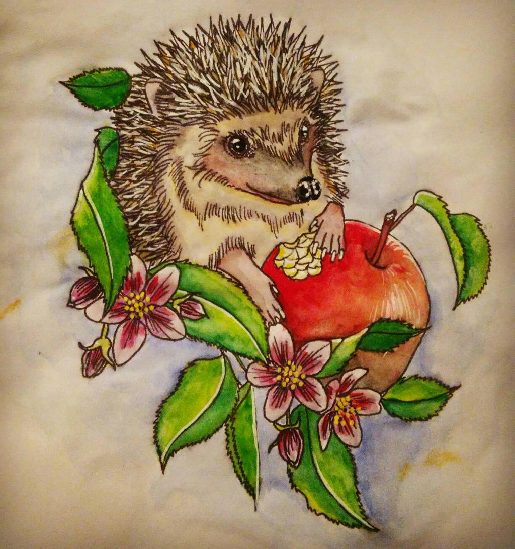 Hedgehog