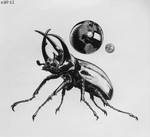 Atlas Beetle by SmoreKr