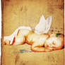 Cupido