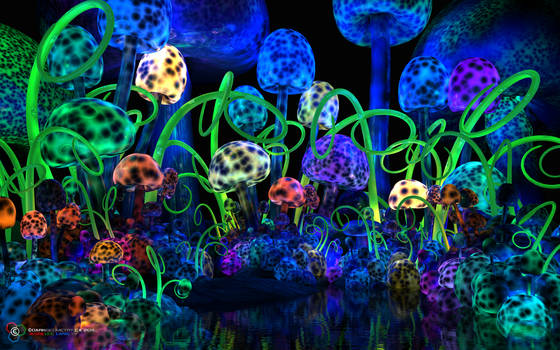 Magical mushrooms