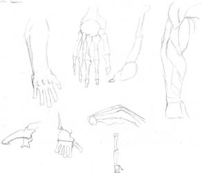 how to draw hands part 2