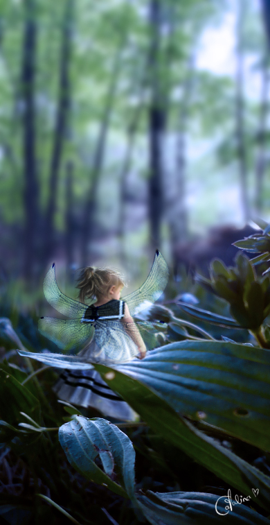 :. Little fairy .: