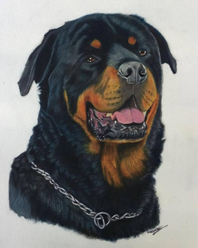 Beautiful rottie by Themystichusky on DeviantArt