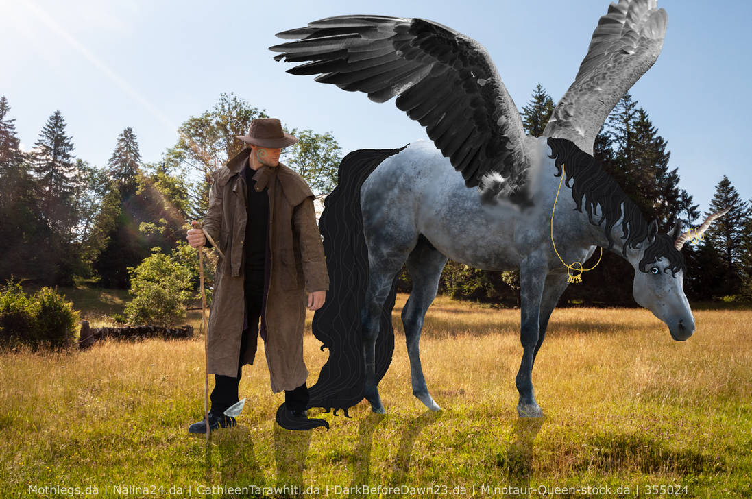 Wanderer 8 by CathleenTarawhiti on DeviantArt
