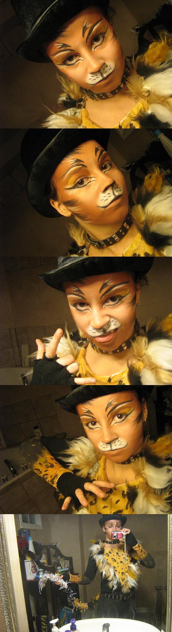 Rum Tum Tugger  Make up