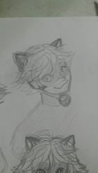 Chat Noir Sketch