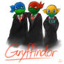 Gryffindor House
