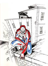 Spidey commission