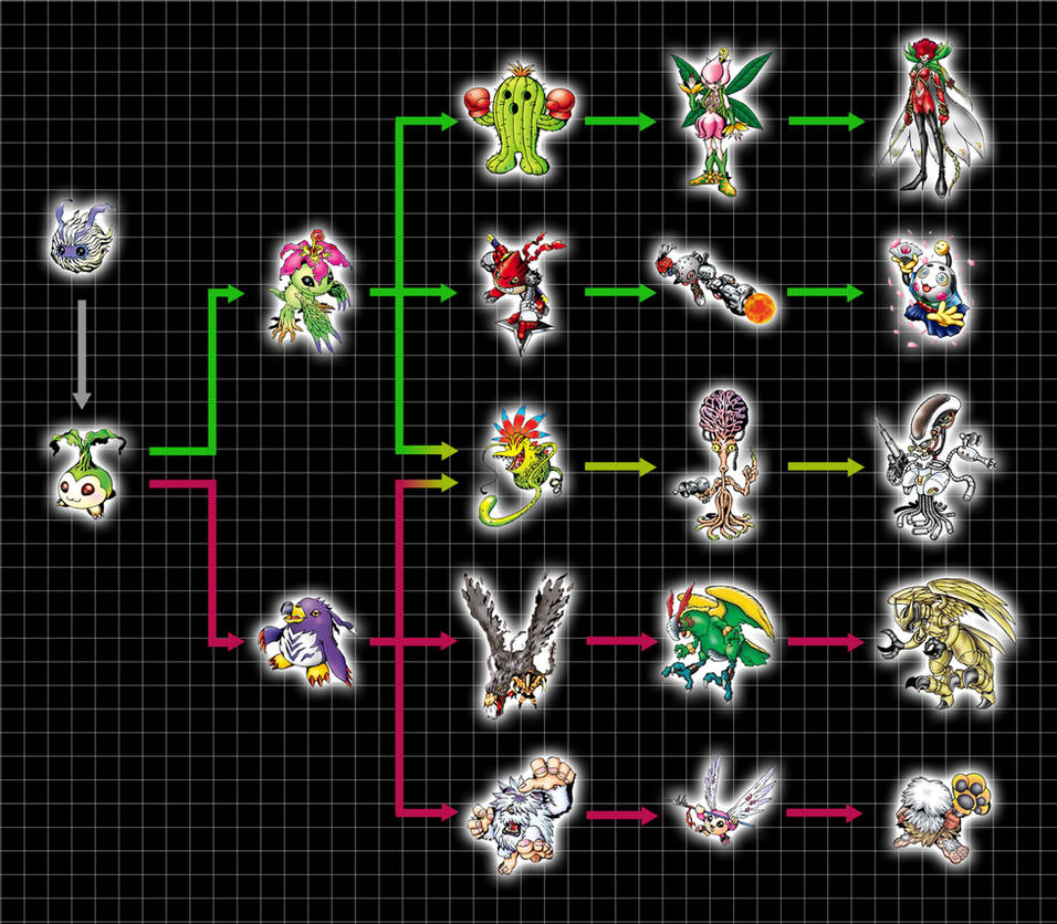 Эволюция монстров питомцев 288. Digimon World 2 таблица эволюции. Эволюция монстров питомцев. Digivolution. Дигимоны амулеты.