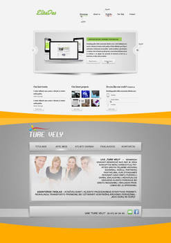 pair web page design