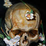 skull flowers