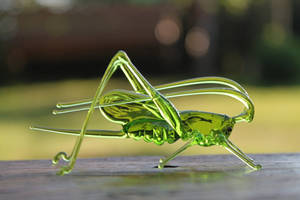 Incredibly detailed grasshopper made by me out of