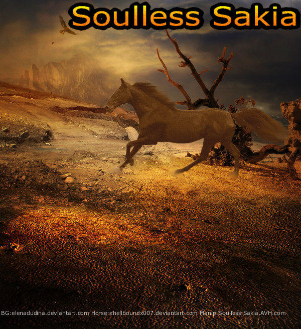 SS Layout 1 by PhantomofSmert on DeviantArt