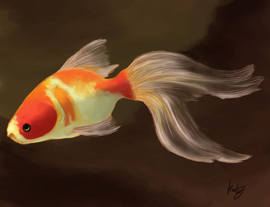 Fish by kovah on DeviantArt