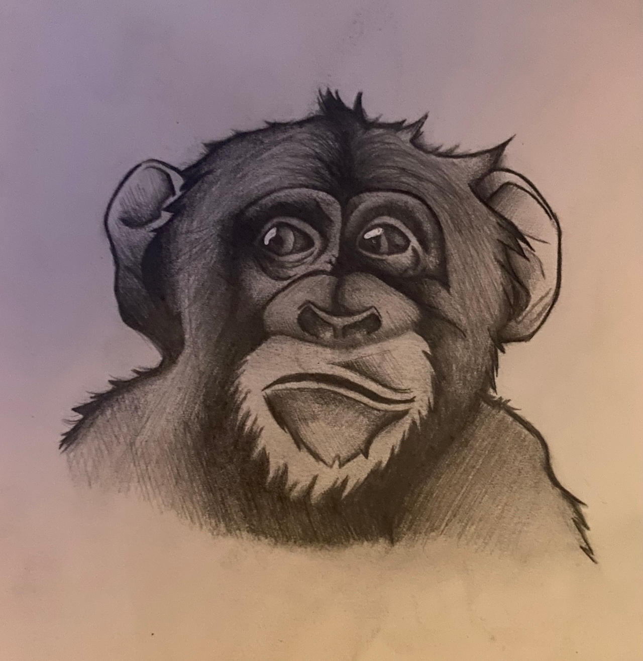 Monkey Form Deviantart Monkey by Sciortinosilvia on DeviantArt