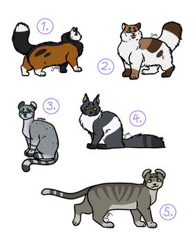 Cat adopts (open)