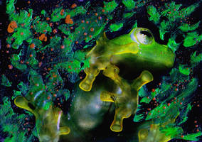 Tree Frog ::ATC::