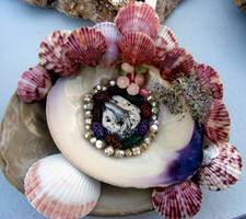 Clams in Clams in...