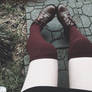 Knee Socks