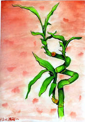 Bamboo by Silvia1826