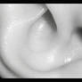 Senses
