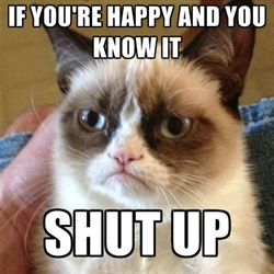 Grumpy Cat Meme 1