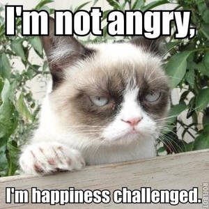 Grumpy Cat Meme 2