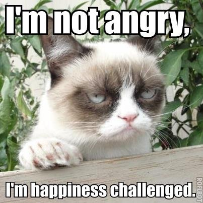 Angry Cat Meme I'm Grumpy So What Poster