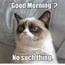 Grumpy Cat Meme 3