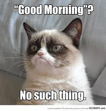 Grumpy Cat Meme 3