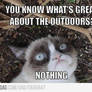 Grumpy Cat Meme 5