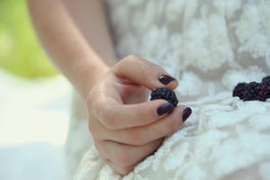 blackberries and lace