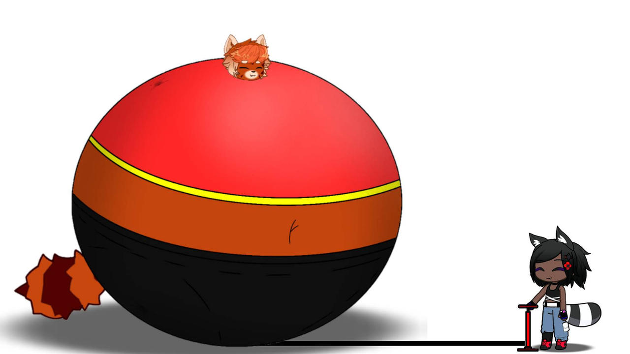 Red Panda Inflation Red panda inflated by RoseWalker389 on DeviantArt
