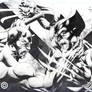 Daredevil vs Wolverine