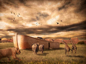 ark of Noah