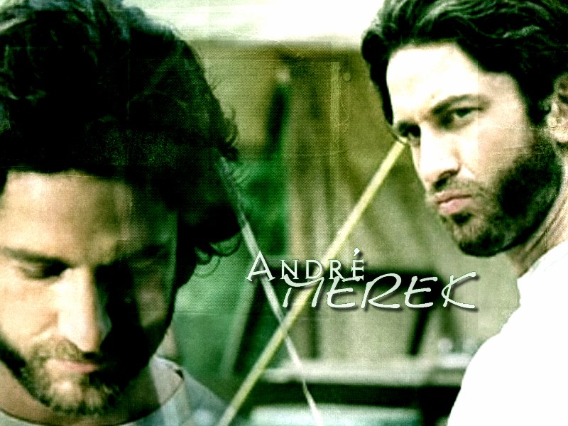 Andre Wallpaper by PhantomBeatle on DeviantArt