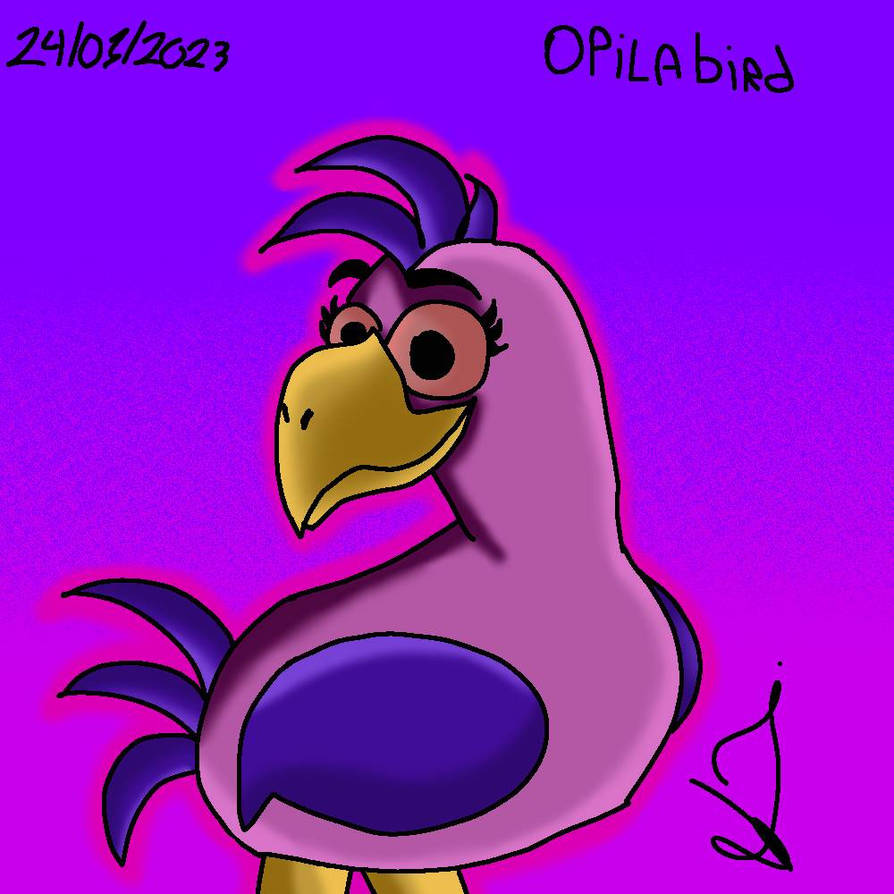 Opila Bird by jazminfoxybonnie on DeviantArt